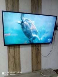 بلازما • ٦٠ بوصة • سمارت