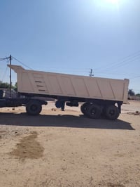 عربانة علم • ٢٠٠٤ • مكفولة