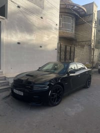 نص فول • ٢٠٢١ • كلين تايتل