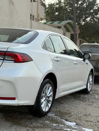 كورلا ٢٠١٩رقم اربيل بااسمي مكفولة من الصبغ والتبديل عدى بارد قليل بلبا...