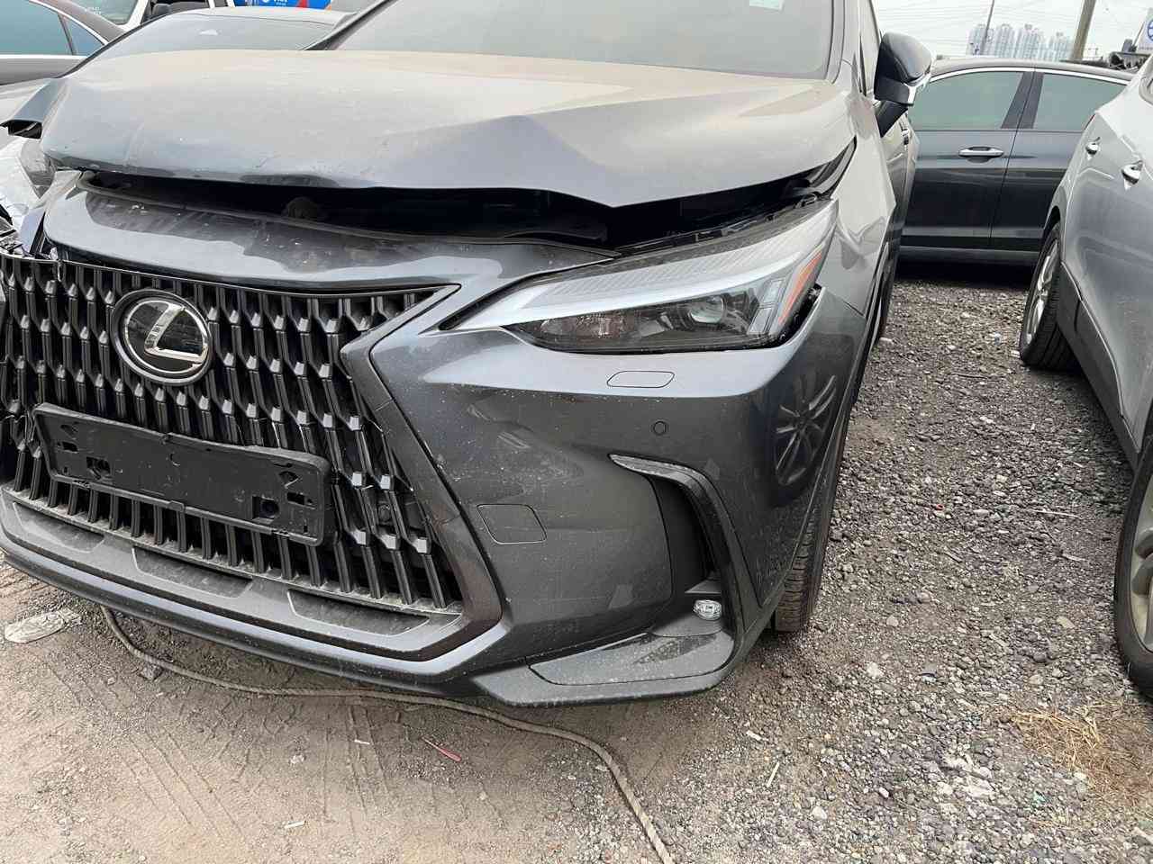 كزس موديل NX 2025 هايبرد فول مواصفات١/١
‏ ملاحظة السيارة وارد كوريا ياباني أصلي 
السيارة موجودة في ميناء أم قصر البصرة 
تدخل أما على كتاب الشهداء أو حرة
‏المواصفات فتحة سقف بصمة أبواب شاشة ودشبول ديجتال هندبرك بصمه رادار امامي رادار جانبي نقطة عمياء تحديد مسار كشنات جلد تبريد تدفئة كشنات خزن م ري 

🛑 السعر سوي تعليق يصل مباشرة 🤖 

ستيرن تدفئة والكثير من المواصفات ملاحظة أغراض السيارة مع السيارة موجودة السيارة ماشين 9000 فقط كيلومتر 

 الاتصال ***********
