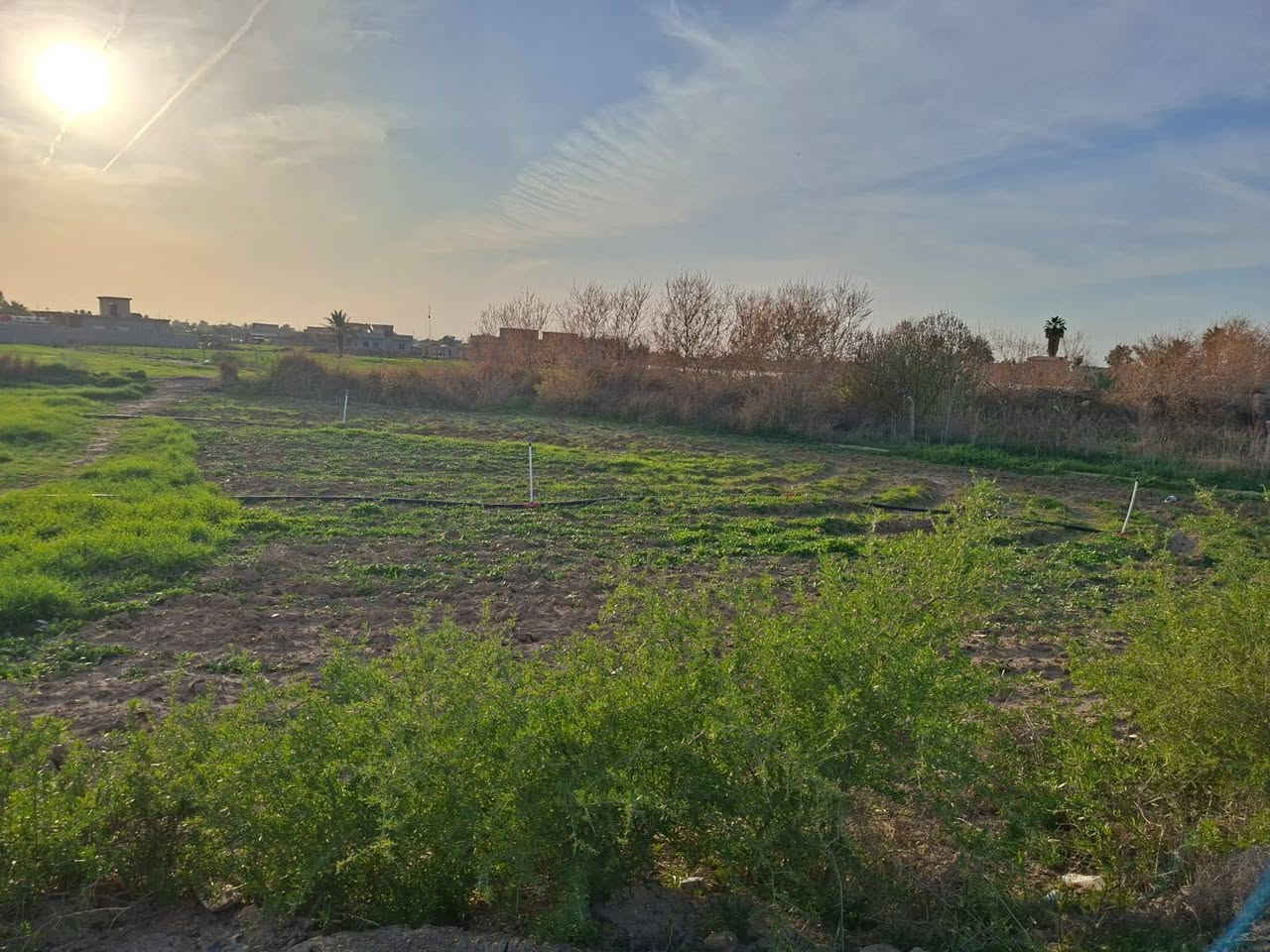 السلام عليكم للبيع ارض مساحه ١٨٤٠ متر مربع طابو زراعي ضمن منطقه سكنيه قضاء تكريت /  البوهيازع مباشر على مشروع ري العلم الاستفسار ***********
