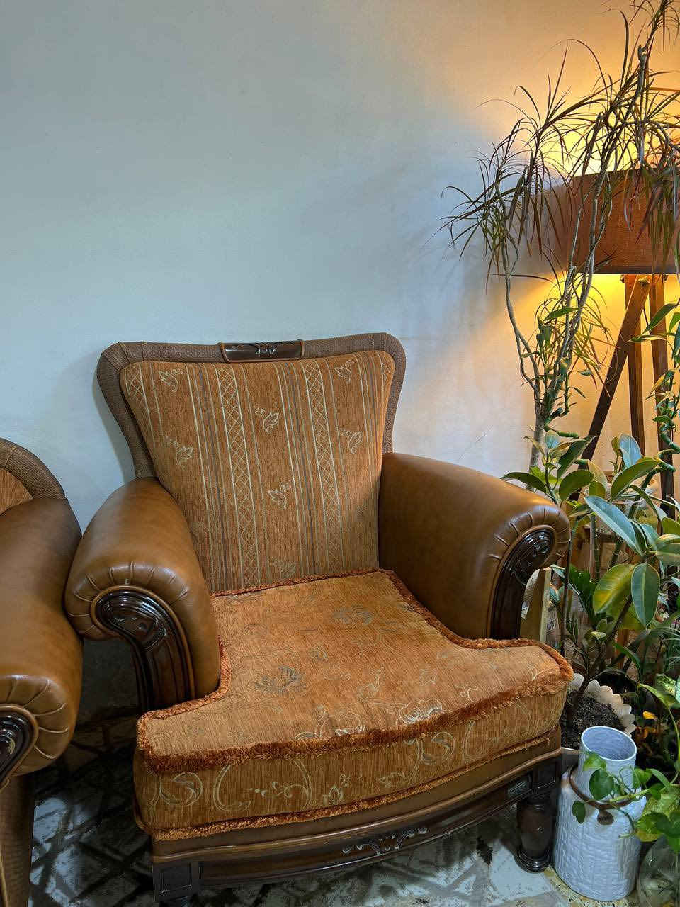 طخم خشب درجة اولى حيل نظيف


**إذا كنت صاحب هذا الإعلان وتريد حذفه لأي سبب، رجاءا أرسل رسالة إلى الدعم الفني**