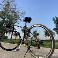 بايك • C700 • حاوية
