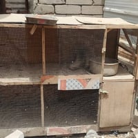 للبيع • ثنينهن • سوق الشيوخ