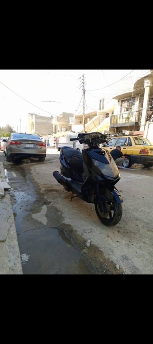 سكنس فحل رون عشره للبيع ٤٠٠ بيها لاسيك ولف دراجه بلادي زوج تايرات جديد باتري جديد بيها مجال مكان حي الجهاد رقم صاحب الدراجه ***********
