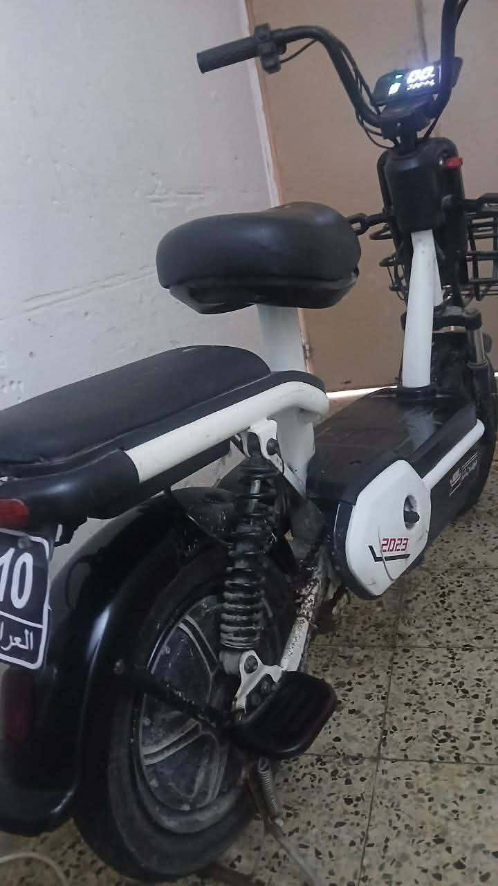 السلام عليكم ورحمة الله وبركاتة
ماطور شحن للبيع كهربائيات شغاله سرعه 41 ويا شاحنه الا درجه اولى اني يوصلك من حي صدام للبكر ويرجعك على حي صدام بي عطل بسيط يطلع صوت البنز الوره ينرادلو واشر 
السعر. 150 وبي مجال الشراي


**إذا كنت صاحب هذا الإعلان وتريد حذفه لأي سبب، رجاءا أرسل رسالة إلى الدعم الفني**