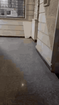 مشتمل للإيجار • شارع المحكمة • غرفتين