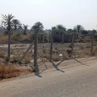 نزلة الزبيد • سند ٢٥ • ٣٠٠م