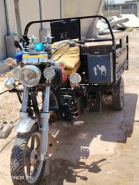 ستوته • شاصي مكفول • نجف