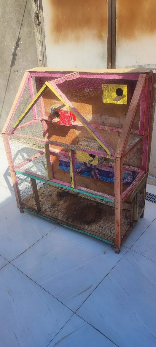 قفص للبيع


**إذا كنت صاحب هذا الإعلان وتريد حذفه لأي سبب، رجاءا أرسل رسالة إلى الدعم الفني**