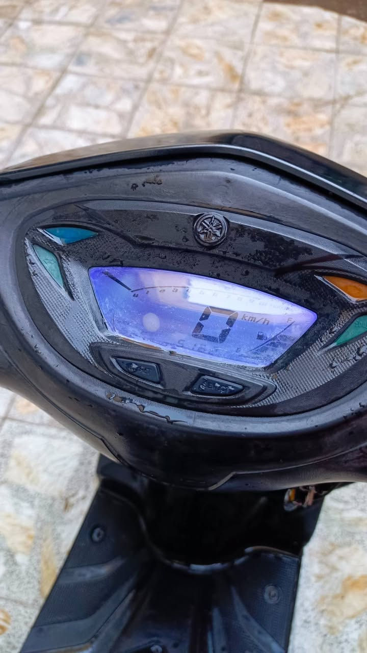 يا إلله 
سلام عليكم 
ثعلب جي تي ار
إدراجه صالها 6 تشهر
وشوي من نازله كفاله عامه
ما عده لبجم المامي تجاري فقط
إدراجه عله ايدي كلش نضيفه ومداريها
مكاني بغداد الغزاليه *********** هذه برقم فقط اتصال *********** وتساب بي هذه لرقم السعر 825 وبيها مجال الطيبين
