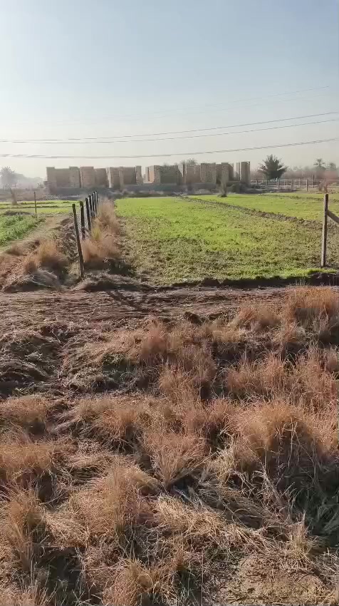 دونمين اصلاح زراعي  مع بيتين هيكل بناء حديث قرب الامام بكر اول متعبر الاروائي تاخذ يمنه 
تبعد عن التبليط 125متر 
السعر شلع 130بيه مجال بسيط كلهابيع لزمه اصلاح زراعي
***********
