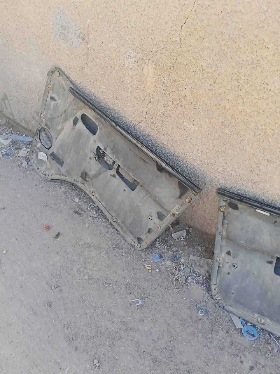سلام عليكم بطاين منغولي للبيع ***********
