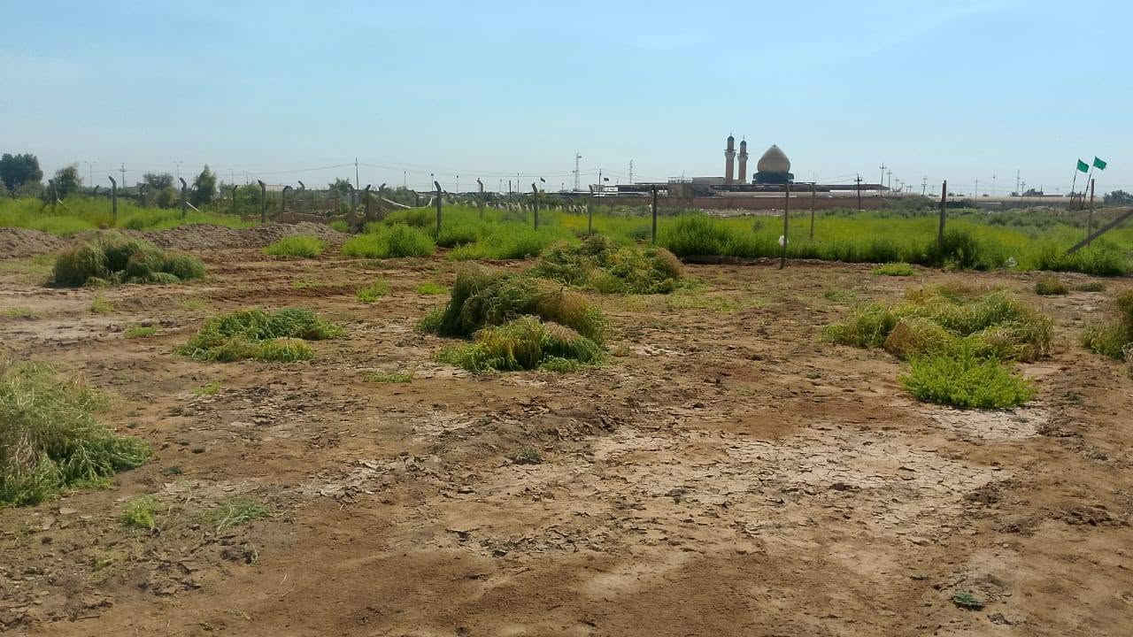 السلام عليكم للبيع قطعه علقصاد علقصاد المكان قرب الإمام الحمزه ع طابو زراعي سند 25 مداور 200 متر سعره 5 مليون مقدمه 1 مليون والباقي اقصاد كل المساحات موجوده *********** بي واتساب
