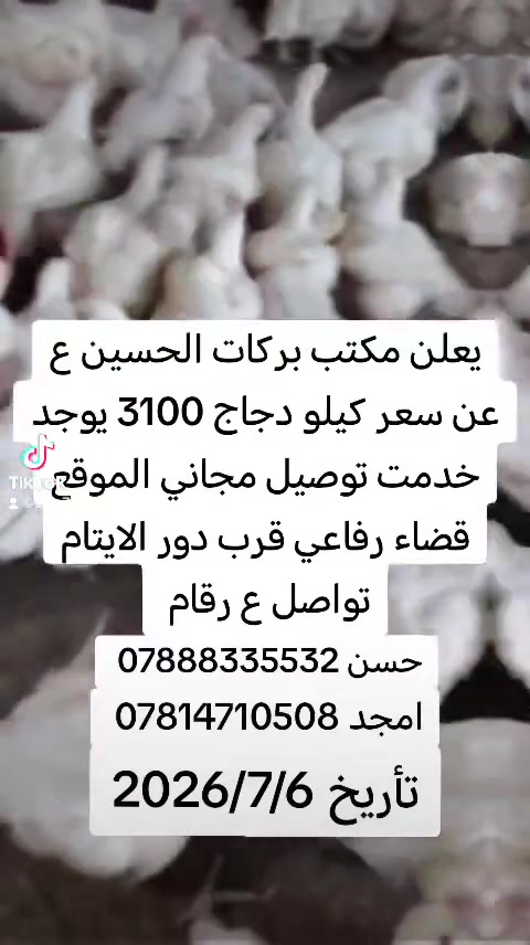 اللهم صل على محمد وال محمد


**إذا كنت صاحب هذا الإعلان وتريد حذفه لأي سبب، رجاءا أرسل رسالة إلى الدعم الفني**