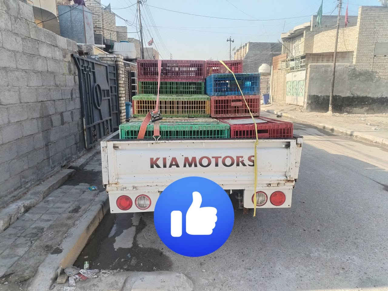 سلام عليكم شباب سياره للبيع بنكو موديل 95 مكفوله كير مكينه شاصي اكسل رقم بغداد مشروع وطني بسمي السعر 59 وبيه مجال الستفسار ***********    وسبعه جنكال
