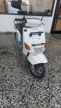 كله بلاديه اخت الرنبه السعر 450وخادم 07819921862