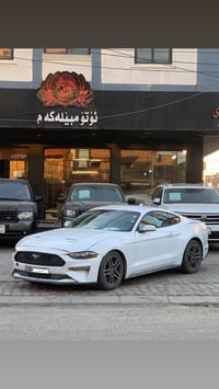 موستانج ٢٠٢١ • اربيل • ٤٦ الف ميل