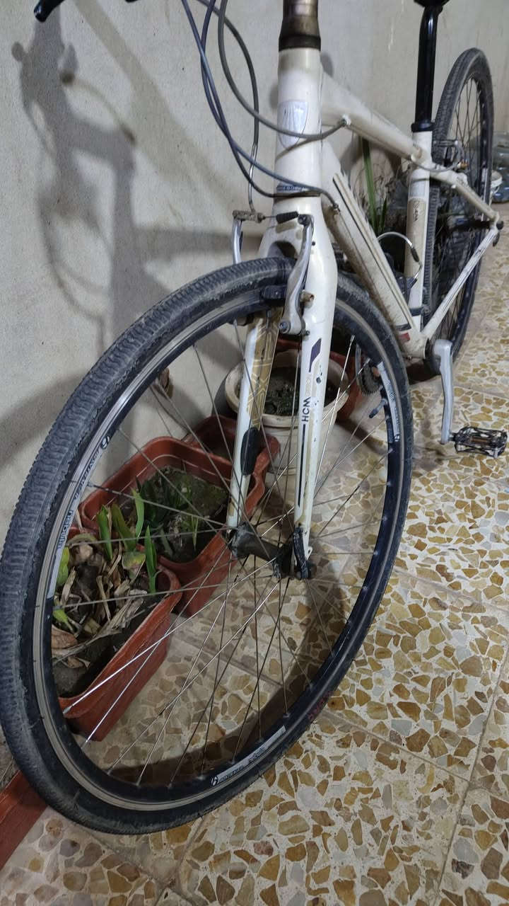 السلام عليكم بايسكل C700 حجم 28 للبيع ماركة تريك TREK, نظيف مال شحن كل غراضو شيمانو فقاسات ACERA اصلي عقرب ديور مجمع شيمانو مكينة خلفي 9 نمرات امامي 3 ماشة كاربون كلو وضع شركة اصلي سعر المطلوب 170 الف بي مجال بسيط تواصل خاص مكان موصل


**إذا كنت صاحب هذا الإعلان وتريد حذفه لأي سبب، رجاءا أرسل رسالة إلى الدعم الفني**