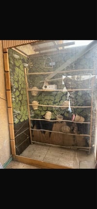 قفص طيور • النجف