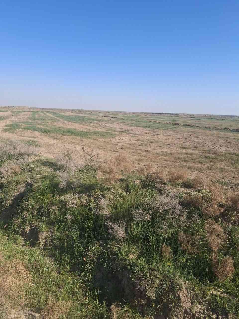 السلام عليكم من رخصة مدير الكروب المحترم أرض زراعيه ١٥ دونم للبيع وره الساير تبعد عن الساير ٤ كيلوات السعر ٣٠ وبيها مجال للإستفسار الاتصال بالرقم/*********** /مكلف بالنشر
