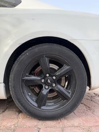 مراوس • موستنك • ١٧/٢٣٥/٥٥