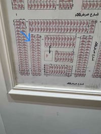بلمحامين • ١٠٠م • راعيها مباشر