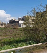 ١٢٥م • سند زراعي • موصل جامع القادر