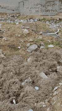 شارع تلكيف • قرب مولده النعيمي • ٣٠٠م