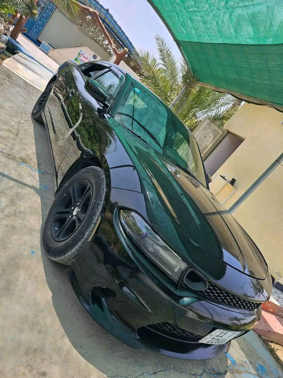 بسم الله .. جارجر 16 
تو ويل المرغوب 
حادث فقط جاملغ ايسر 
بدون ايرباك 
بدون دواخل كلشي على البلاد 
كير ومكينة ماشاءالله ولا ملعوب بيهن
 مكينة 3600 ️
ماشية 103 ميل
رفقت صورة الحادث والسونار كذلك

تايرات جديدة وباتري جديد وادامة جديدة
بيها كم مكان بارد موضح بالسونار
شاشة شادلها ب300$ اندرويد كل التطبيقات بيها
اخوان السيارة نظيفة حيل وعلى ايدي شادلها منضومه غاز انسه الصرف
مكانها بغداد 
عارضها ب180 ورقة  
رقمي ***********
