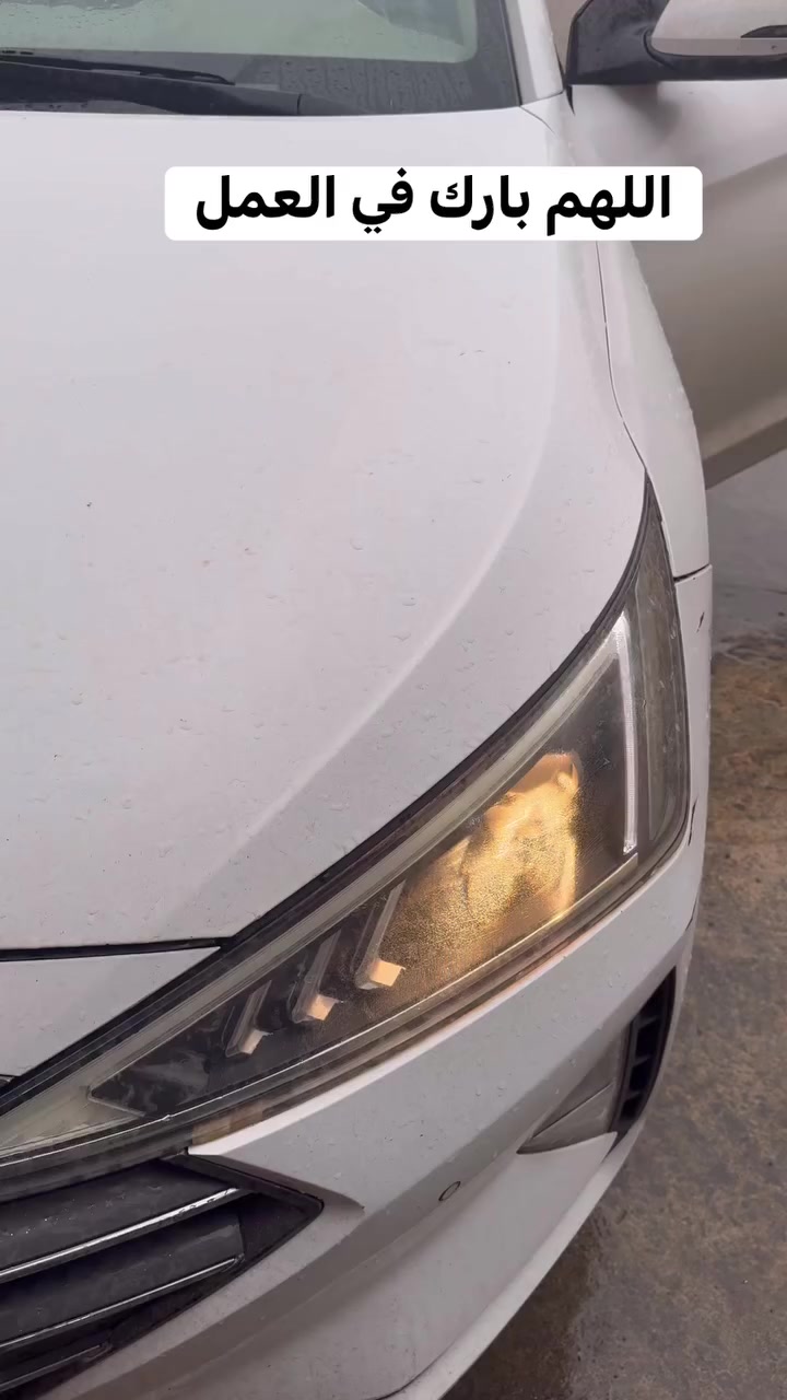 العنوان /بغداد الغزالية شارع مدير الامن 

الاقساط متوفرة ايضا يمنة
📍
***********
***********

#جام_لايت
#اللهم_زد_وبارك
#لايتات
#عدسات
#ضمان
