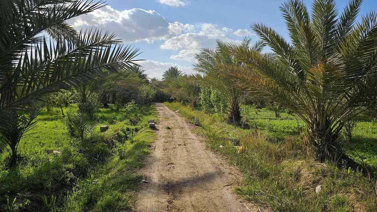 موقع مثالي في كربلاء 💯
✅ثلاث ️دوانم للبيع واجهه 33 م
مع 2 بيوت مساحة كل بيت 
200 م بناء طابوق جمهوري 

✅متوفرة كافة الخدمات 
تبليط، ماء، كهرباء، مدارس 
طابو سند 25 تحويل بالطابو

✅️الموقع كربلاء - شارع الإبراهيمية 
طريق الشهداء ( منطقة عناز )
تبعد من مركز مدينة كربلاء 15 كيلو 

💰السعر الكلي للأرض// 700 مليون 

📞 أتصل الآن ‪ ***********
