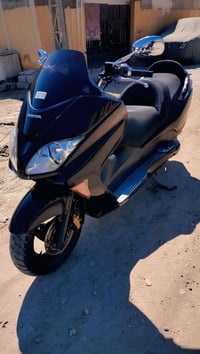 فورزه • ٠٫٨ • مكفول