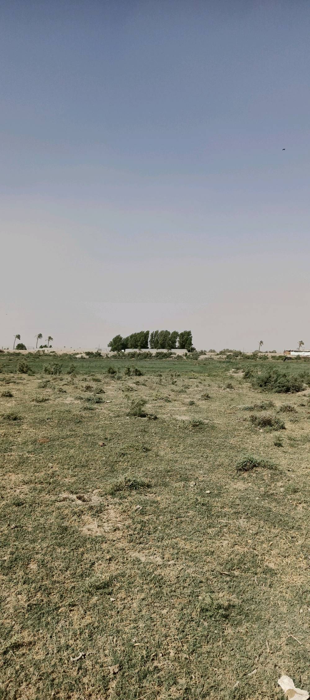 بستان على شط العرب مساحته 5 دونم يحتوي على بيت الأرض مسيجه جزء منه بلوك والباقي بي ارسي
تحتوي على نخل متعدد النوعيات وسدر بأنواعه تحتوي على بحيرات سمك ومكان لتربيه الحيوانات ما تتأثر بالمد الملحي الأرض عله شط العرب مباشره طابو زراعي عنوانه النشوه قرب قرية سيد علي نور