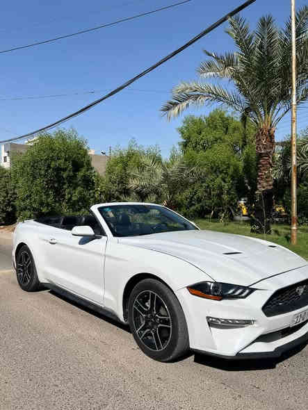 السلام عليكم 
موستنك موديل ٢٠٢٣ لون ابيض 
 فول مواصفات قماره كشف 🏎️
محرك 4 سلندر توربو  و كشنات كهربائية وتحكم ستيرن و شاشة +كامره خلفيه 
حادثها بسيط بدون ايرباك 
صبغ بيها بس راس البنيد ورأس الجاملغ 
العنوان : بغداد -  السيديه 
رقم تلفوني للاستفسار واتساب 
***********‬
سعرها ١٨٥
ترهم مراوس
