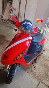 فراشه • فحل • نظيف