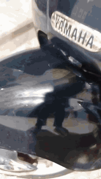 سلام عليكم دراجه مصريه الون زيتوني   للبيع محرك مامفتوح نكره سلف هورن دبل أشاره بريك أمامي خلفي كيلومتر شغل كيج بانزين شغل صطاب خلفي شغل تايرات جديد دراجه ماصاله هواي من طالعه من رمبه بعدهي وكله كلشي جديد وشغل مكان ناصرية سديناويه ***********يوجد واتساب
