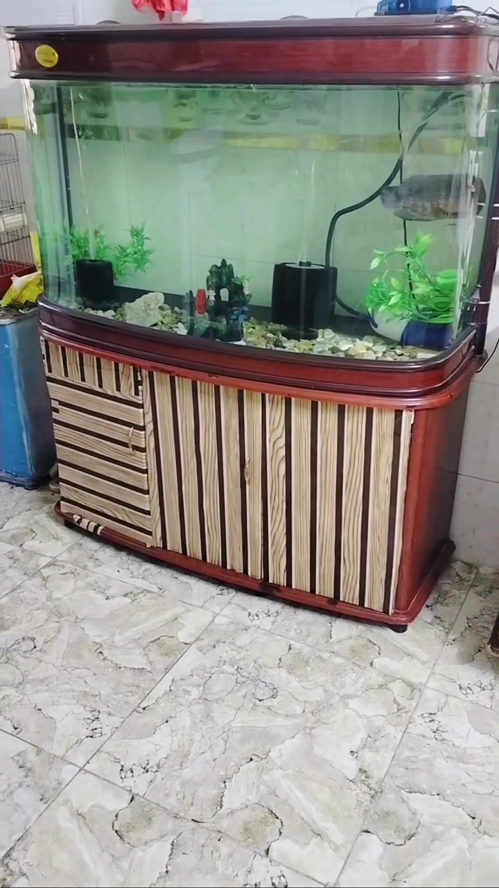 متاح


**إذا كنت صاحب هذا الإعلان وتريد حذفه لأي سبب، رجاءا أرسل رسالة إلى الدعم الفني**