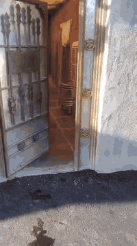 حي النصر • ١٠٠م • للبيع