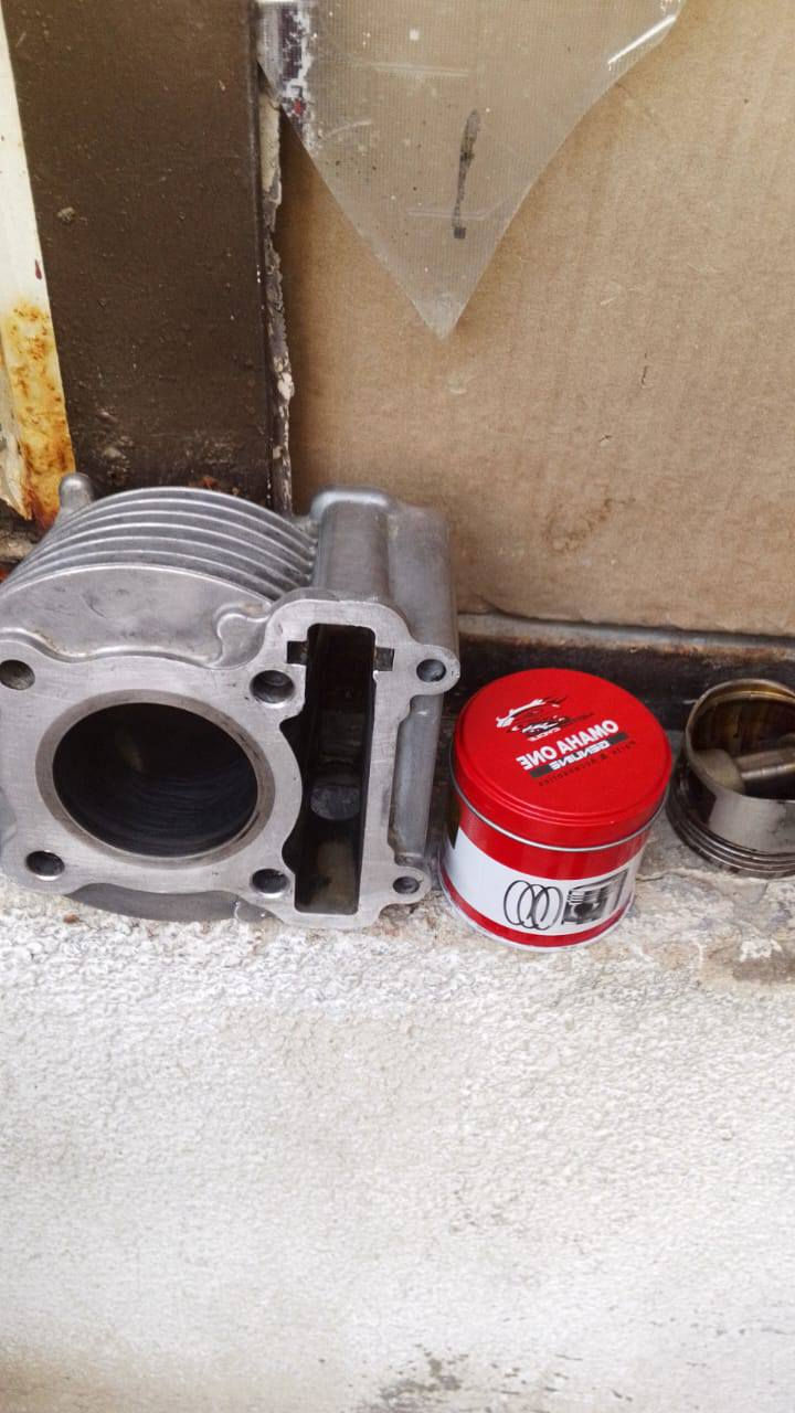 تويتر مال سكنس فحل وبوشه بلاديه مال سكنس فحل للبيع *********** مكان بغداد المدينهي
