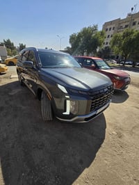 هيونداي • باليسايد