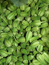 حلقومية • بانية • حلويات • حلويات منزلية • توصيل حلويات • حلقوم • معجن...