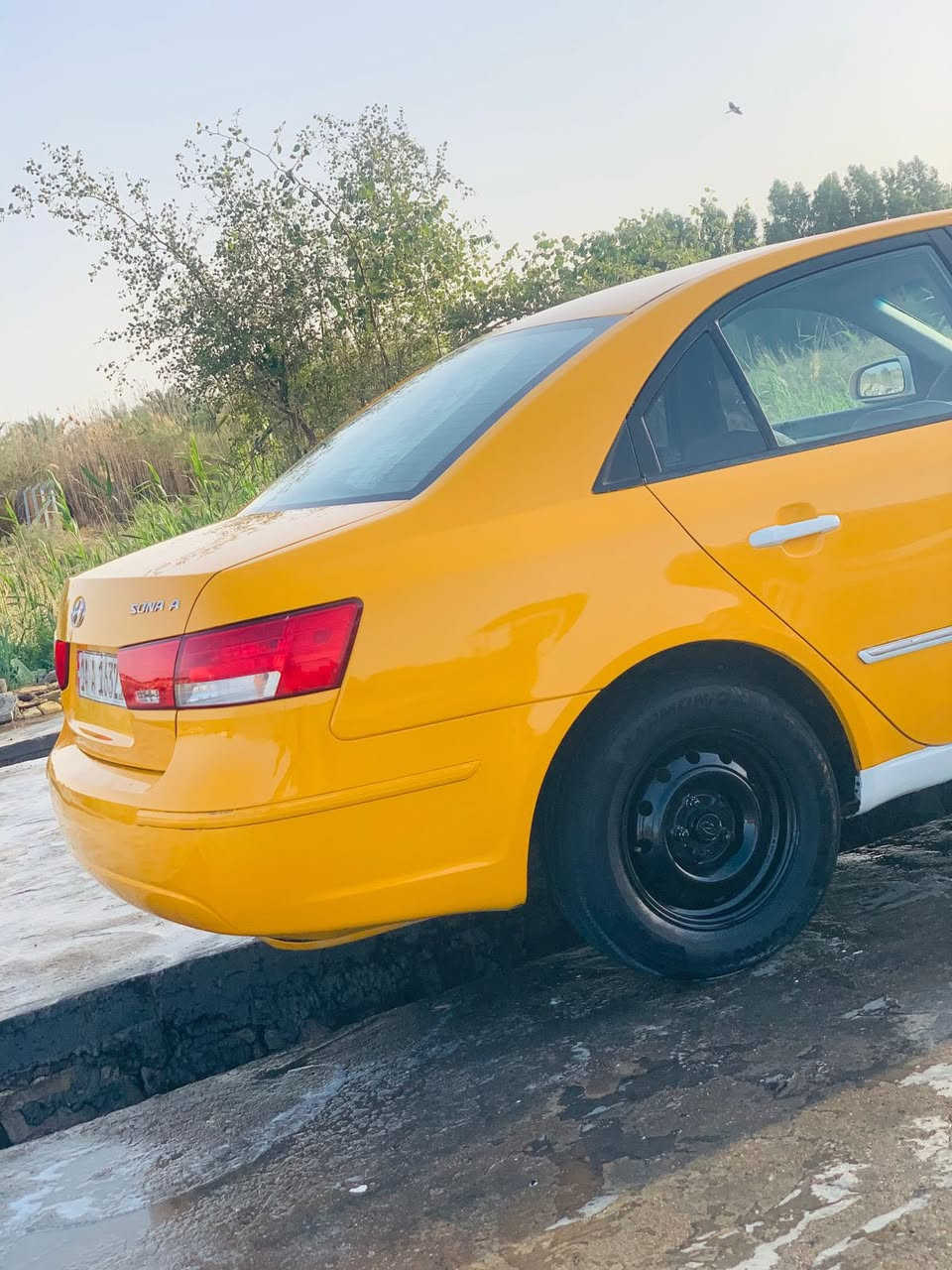 السلام عليكم ًًً للبيع 2009
سوناتا 2009  تكسي مطار - سياره حلوه وجاهزه عدا التبريد صبغه جديده السياره ضربته خلفيه  تعمير درجه اولاً جاهزه للشغل رقم بصره بسمي  !! مكينه كير حداديه خير من الله / نصبته حلوه 
السعر (80) رقمي ***********
