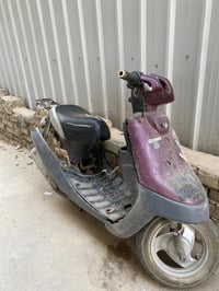 بطة • ١٩٩٩ • كايمه