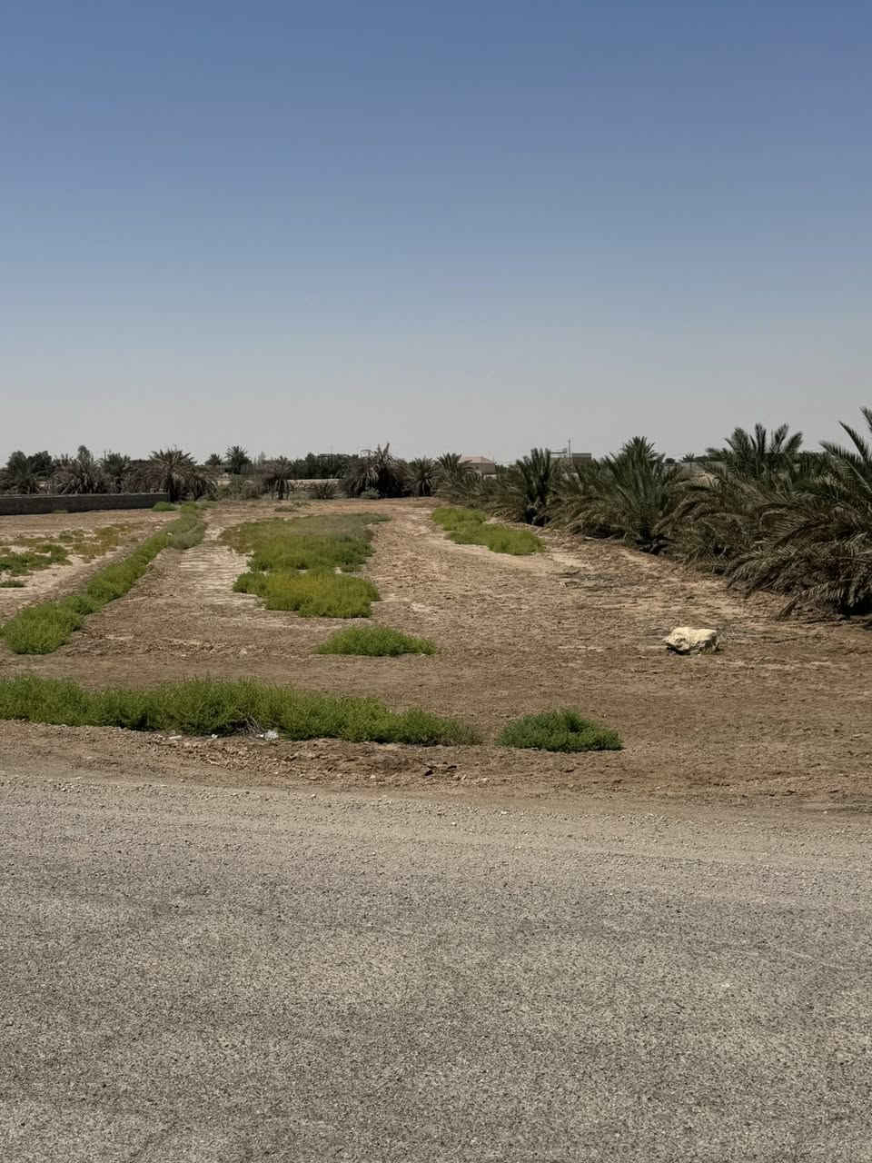 قطعة ارض للبيع المساحة 1750 بالمهدي قرب محطه قطار ساوة  شارع وماي اساله تحتها ومن جهه الثانيه نهر القائد مداور اسمهم طابو زراعي سند 25 باقي التفاصيل الاتصال ع رقم ‭0780 309 5063‬
