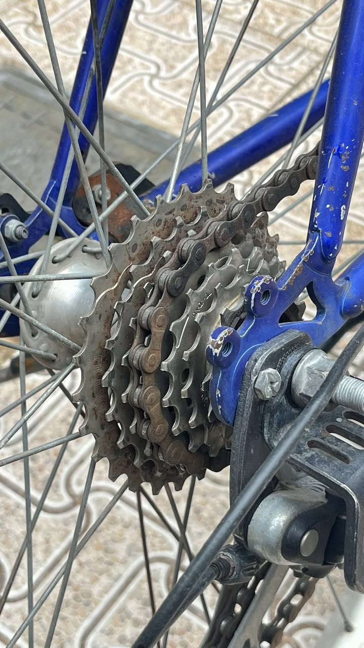 السلام عليكم 
بايسكل رياضي للبيع حجم 26 تايرات جبلية جديدة و بدالة امامي خلفي نضيف مرتب و واضحة النضافة بالصور مكاني ديالى بعقوبة الكورنيش السعر 85 و بيه مجال هذا رقمي ***********
