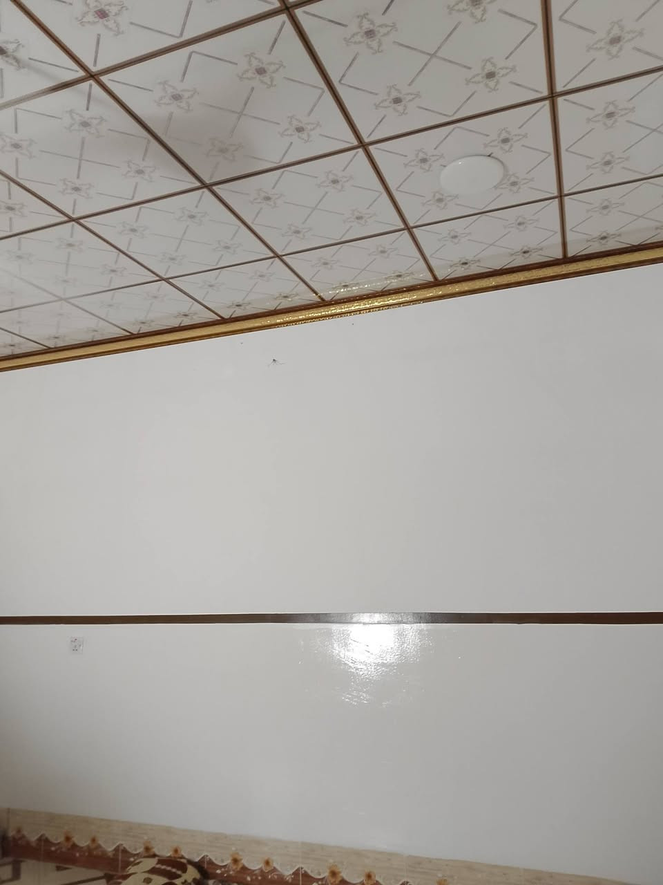 بيت للايجار المساحة 300م قرب المركز الصحي الفرع الرئيسي للاستفسار***********
