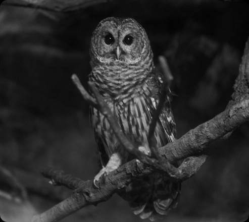 تلفون مدرع
مستخدم طلع بل بضاعه مابي اي شي مكفول فقط كسر خفيف بل ظهر ذاكره 256 بطاريه 10600 وياه فقط كارتون مرحبا ب200 الف


**إذا كنت صاحب هذا الإعلان وتريد حذفه لأي سبب، رجاءا أرسل رسالة إلى الدعم الفني**