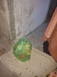 مساعدة • ارامل ومطلقات • زوجات شهداء